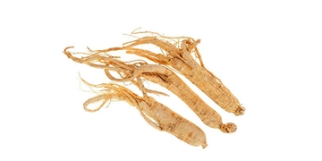 Ginseng Yan Etkileri Nelerdir?