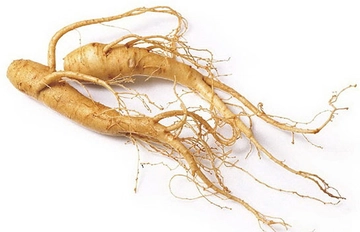 Ginseng Kullanımı ve Faydaları Nelerdir?